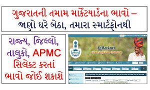 Daily Market Report All APMC – Agriculture Marketing Updates | Useful Information