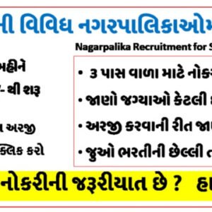 Gujarat Several appointments of Nagarpalika 2021
