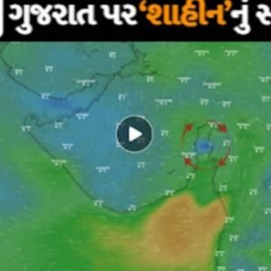 Windy Live Cyclone Update