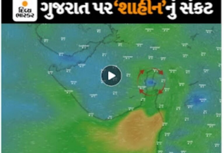 Windy Live Cyclone Update