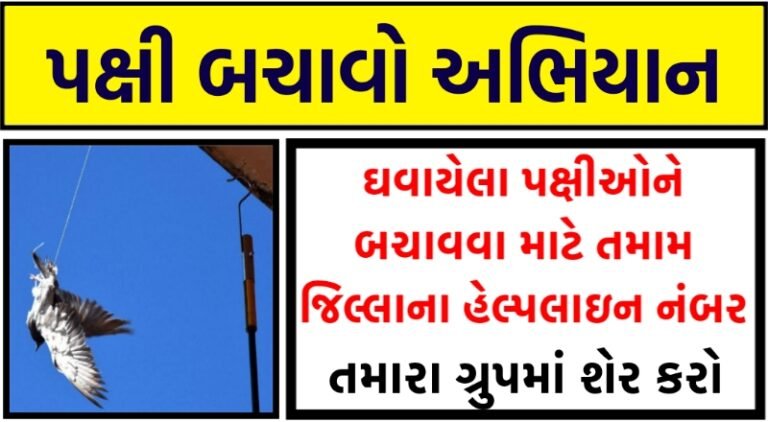 Uttrayan:Gujarat Bird Help line Number 2022
