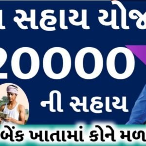કુટુંબ સહાય યોજના સરકાર આપી રહી દરેક કુટુંબ ને 2000₹