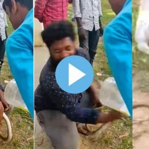 Amazon | Flipcart Festival Sale 2021 5 Amazon | Flipcart Festival Sale 2021