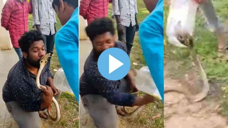 Amazon | Flipcart Festival Sale 2021