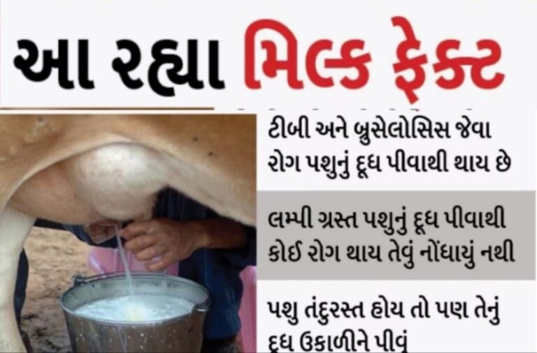 Do this before drinking milk, it will not cause any disease.