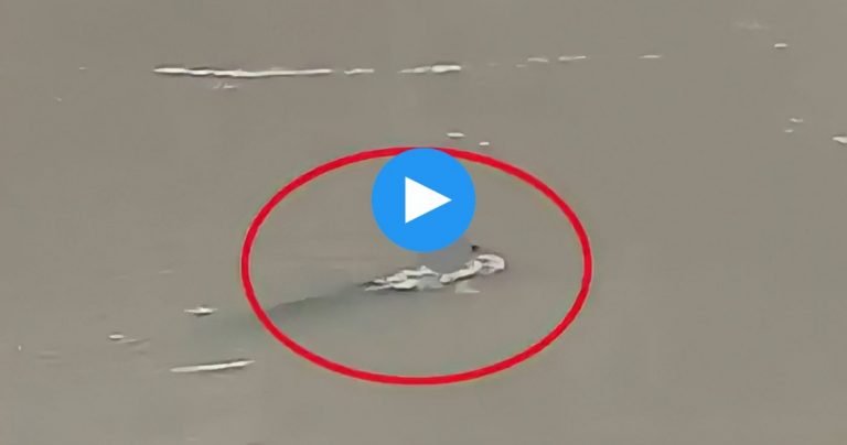 Rakshabandhan shubheshcha 2022