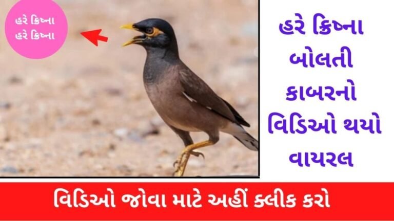 Video of Kabar speaking Hare Krishna goes viral