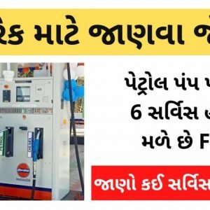 These 6 types of services are available at the petrol pump Clone