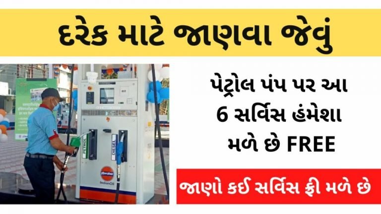 These 6 types of services are available at the petrol pump Clone