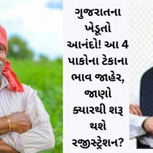 Gujarat government will purchase four types of crops at support prices.