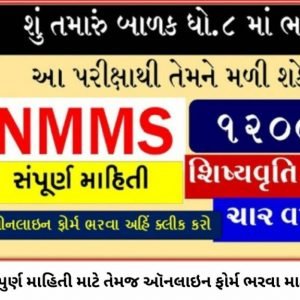 NMMS scholarship standard 8 students 2022 apply.