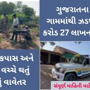 A large plantation of ganja was caught from this district of Gujarat.