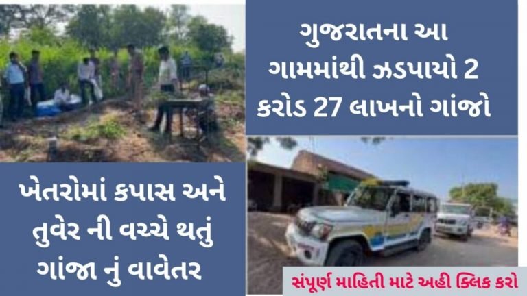 A large plantation of ganja was caught from this district of Gujarat.