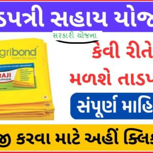 તાડપત્રી સહાય યોજના 2023: મફત તાડપત્રી મેળવો, (Tadpatri Sahay Yojana) કેવી રીતે મળશે તાડપત્રી, સંપૂર્ણ માહિતી