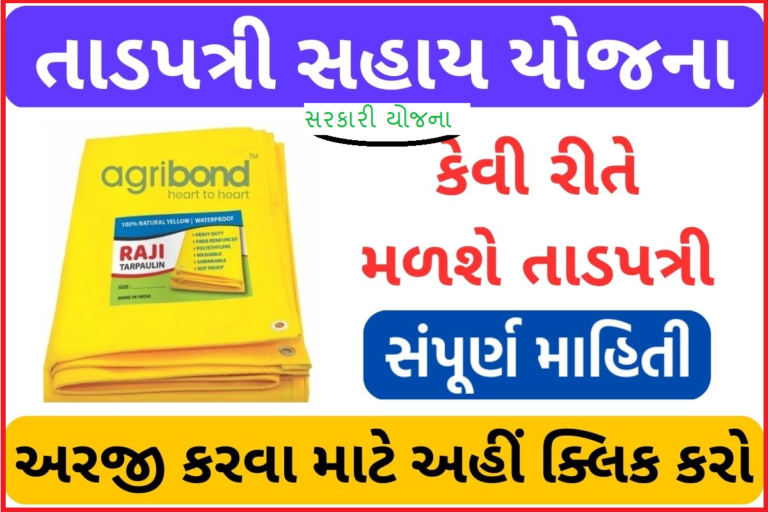 તાડપત્રી સહાય યોજના 2023: મફત તાડપત્રી મેળવો, (Tadpatri Sahay Yojana) કેવી રીતે મળશે તાડપત્રી, સંપૂર્ણ માહિતી