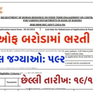 Bank of Baroda Recruitment 2024: Apply Online, 592 Vacancy