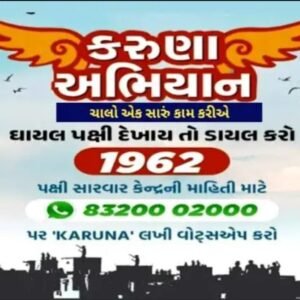 કરુણા અભિયાન : મકરસંક્રાંતિની મજામાં ભોગ બનતા નિર્દોષ પક્ષીઓ માટે જીવનદાન એટલે કરુણા અભિયાન.