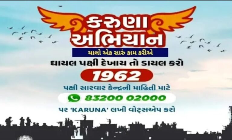 કરુણા અભિયાન : મકરસંક્રાંતિની મજામાં ભોગ બનતા નિર્દોષ પક્ષીઓ માટે જીવનદાન એટલે કરુણા અભિયાન.