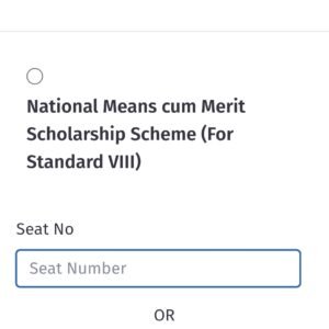 NMMS RESULT 2025 DECLARED