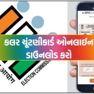 how to download colored election card
