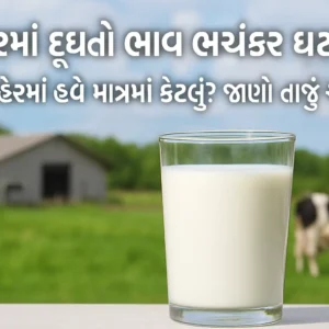 Milk Price Update