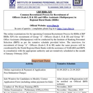 IBPS Clerk Recruitment 2025