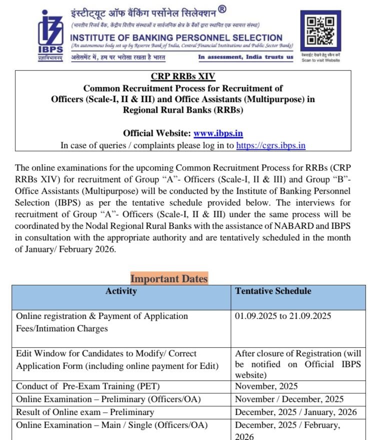 IBPS Clerk Recruitment 2025