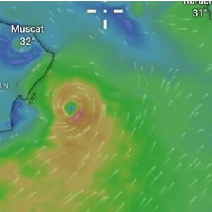 Windy.com: A Comprehensive Guide to the Weather & Wind